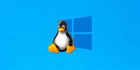 Advanced settings configuration in WSL .